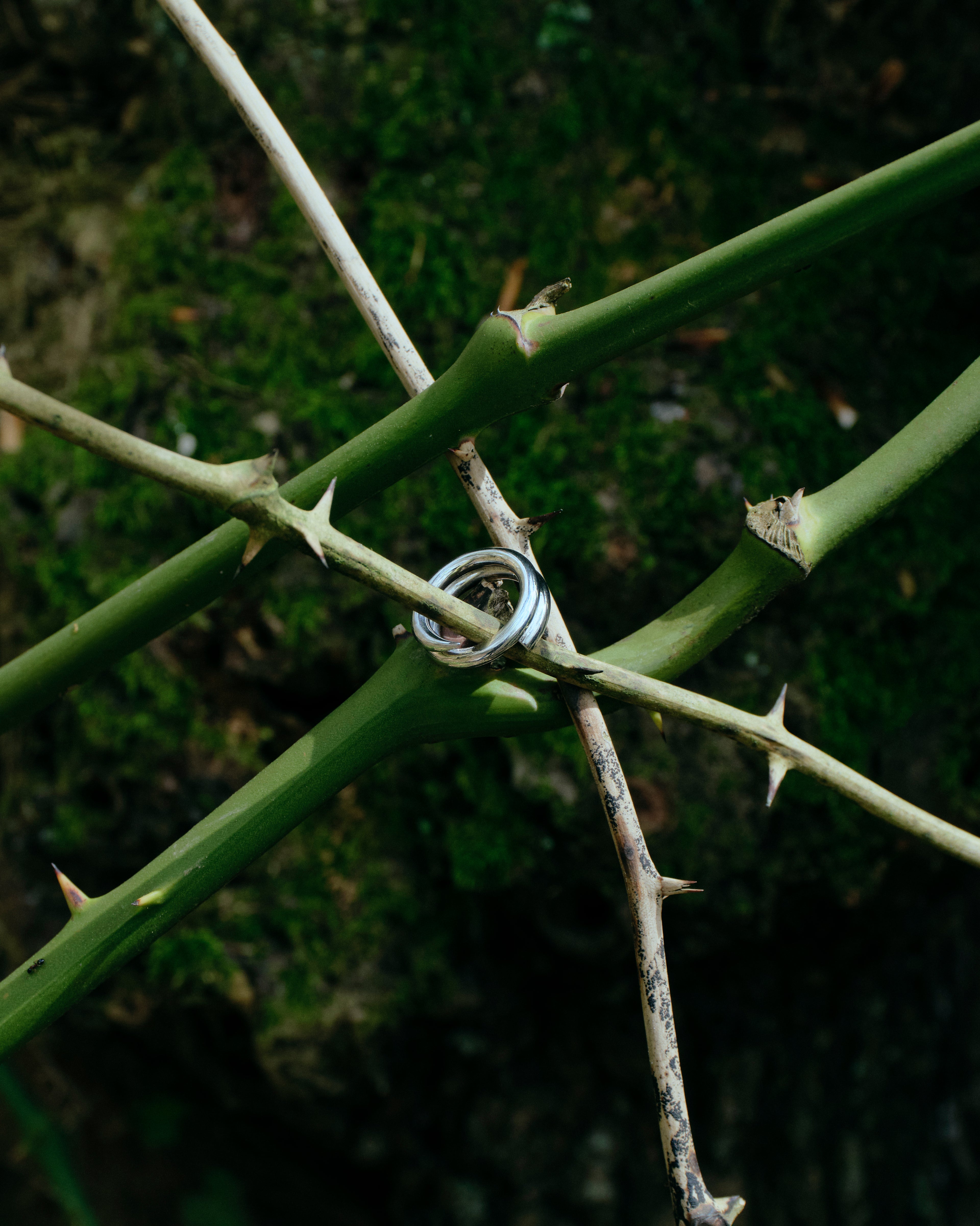 Dual Ring